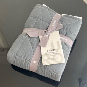 West Elm Organic Cotton Quilted Euro Sham